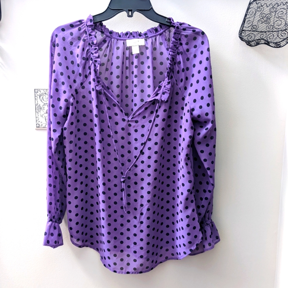 Semi-sheer Loft blouse